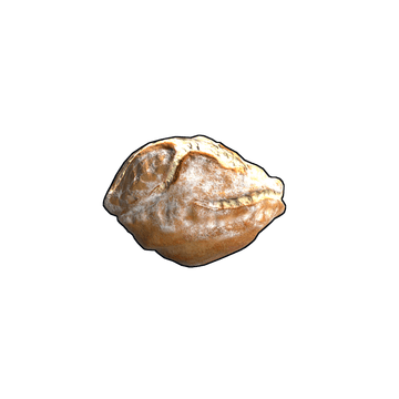 Sourdough Bread