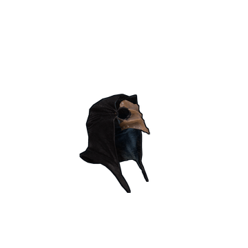 The Plague Doctor